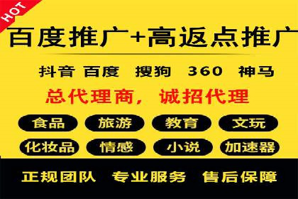 SEM竞价推广案例：打造行业领先的广告投放策略